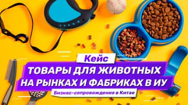 Embedded thumbnail for Кейс: сопровождение по рынкам и фабрикам в Иу. Зоотовары оптом из Китая